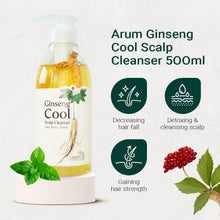 Load image into Gallery viewer, Arum Ginseng Cool Scalp Cleanser (Bundle of 3) | hebeloft
