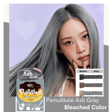 Load image into Gallery viewer, Pamukkale Ash Gray- eZn Pudding Hair Colour | hebeloft
