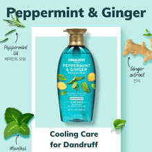 Load image into Gallery viewer, Organist Peppermint and Ginger Cooling Shampoo | hebeloft
