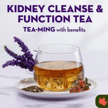 Load image into Gallery viewer, BELL Kidney Cleanse &amp; Function Tea | hebeloft
